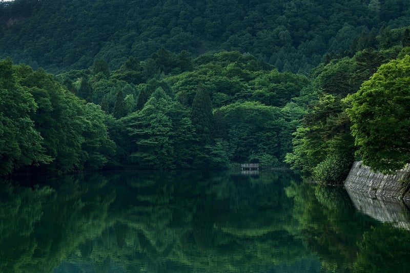 Enchanted Mountain Landscape